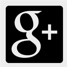 Google+ icon