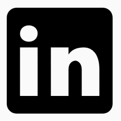 LinkedIN icon